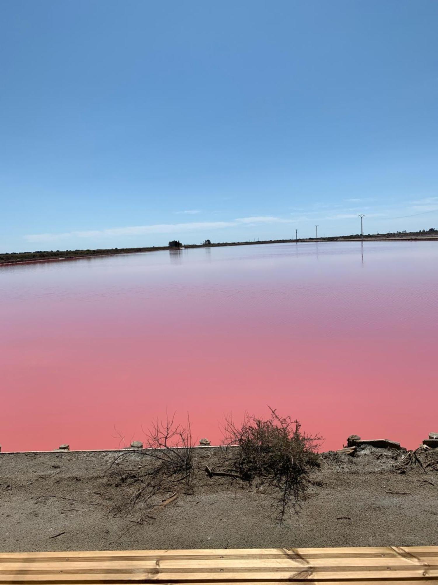 Nuits Salines Aigues-Mortes Buitenkant foto